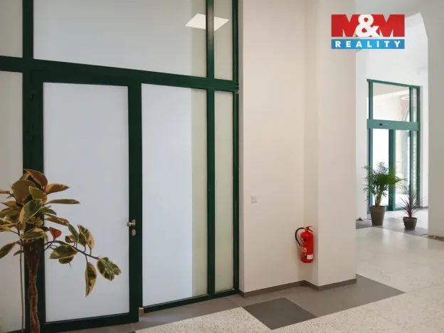 Prodej obchodního prostoru, Opava - Město, Masarykova třída, 60 m2