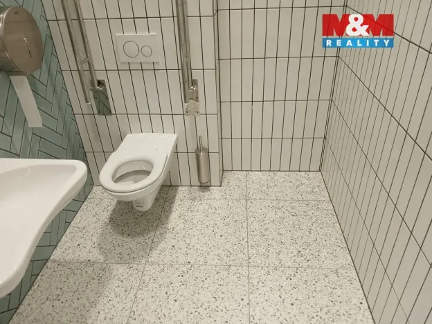 Prodej obchodního prostoru, Opava - Město, Masarykova třída, 60 m2