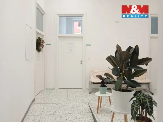 Prodej obchodního prostoru, Opava - Město, Masarykova třída, 60 m2