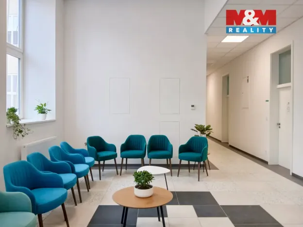 Prodej obchodního prostoru, Opava - Město, Masarykova třída, 50 m2