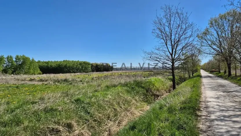 Prodej pozemku pro bydlení, Čejkovice, 800 m2
