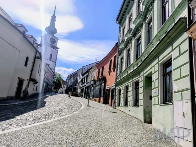 Prodej obchodního prostoru, Třebíč, Hasskova, 258 m2