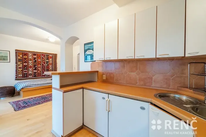 Pronájem bytu 4+kk, Brno, Zeyerova, 167 m2