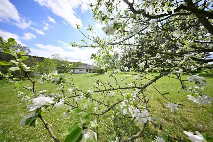 Prodej rodinného domu, Loučka, 170 m2
