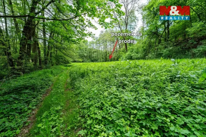 Prodej lesa, Červené Pečky - Bohouňovice I, 491 m2