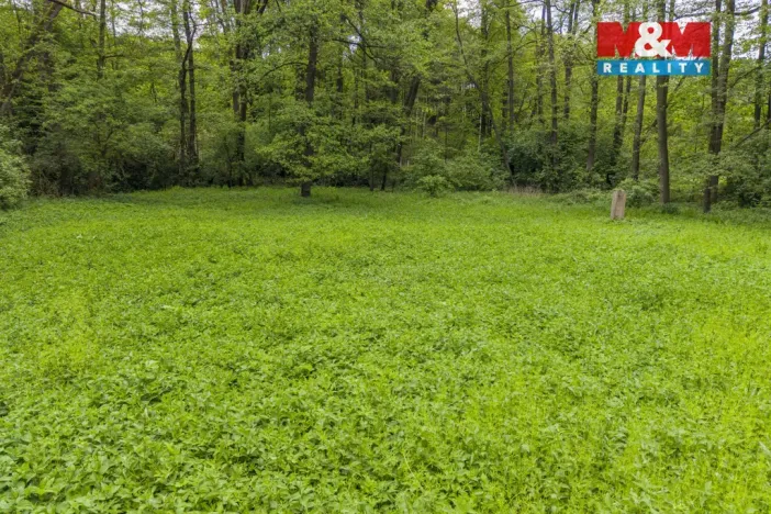 Prodej lesa, Červené Pečky - Bohouňovice I, 491 m2
