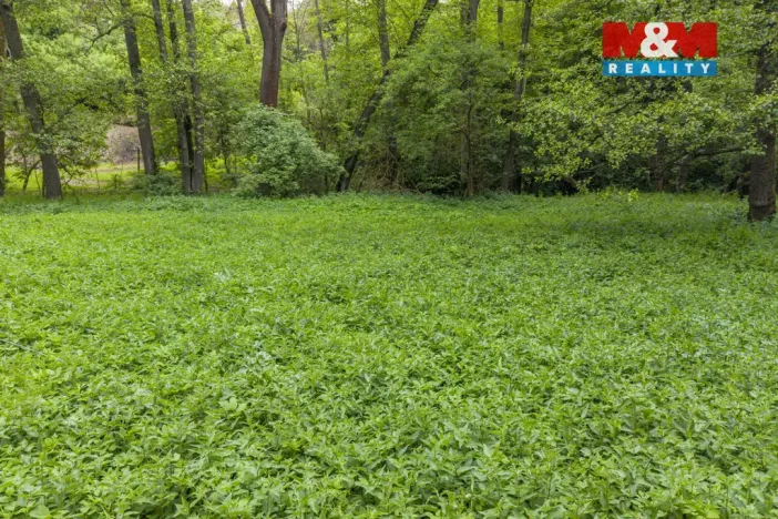 Prodej lesa, Červené Pečky - Bohouňovice I, 491 m2