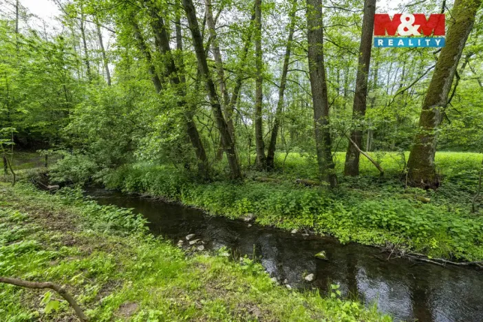 Prodej lesa, Červené Pečky - Bohouňovice I, 491 m2