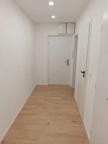 Prodej bytu 2+kk, Brno, Kotkova, 52 m2