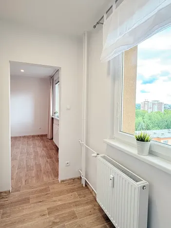 Pronájem bytu 1+1, Liberec, Letná, 39 m2