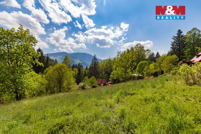 Prodej pozemku pro bydlení, Ostravice, 3902 m2