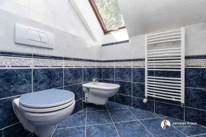 Prodej rodinného domu, Nechanice, Za Kulturním domem, 250 m2