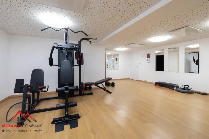 Pronájem bytu 1+kk, Ostrava, Cihelní, 19 m2