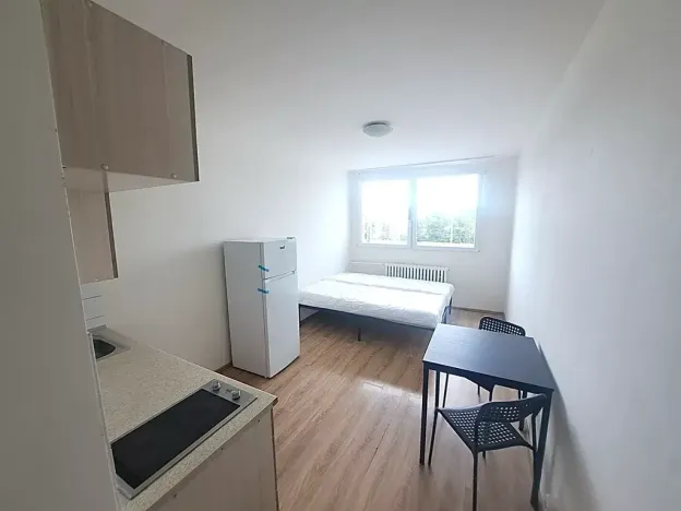 Pronájem bytu 1+kk, Praha - Vysočany, U vinných sklepů, 22 m2