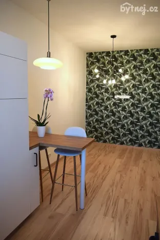 Pronájem bytu 2+kk, Jihlava, Třebízského, 42 m2