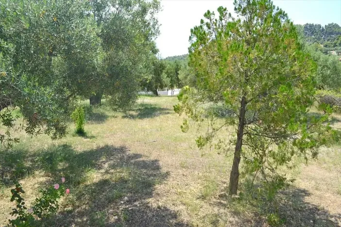 Prodej rodinného domu, Sithonia, Chalkidiki, Řecko, 250 m2