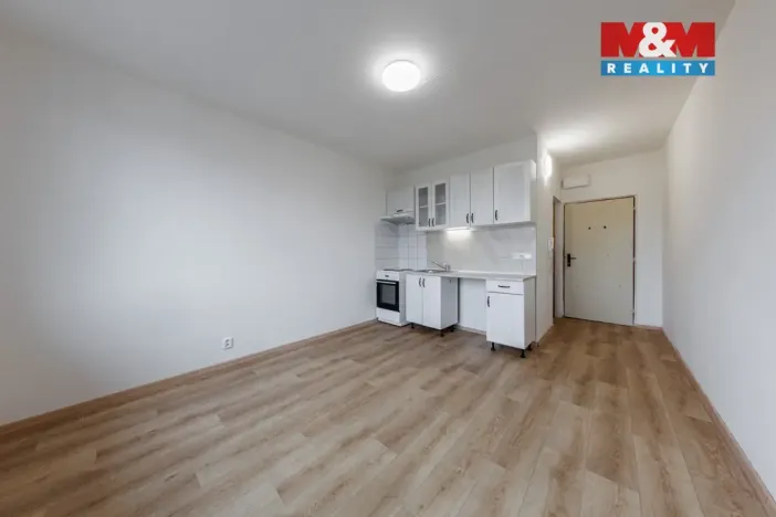 Prodej bytu 1+kk, Horní Slavkov, U Lesoparku, 19 m2