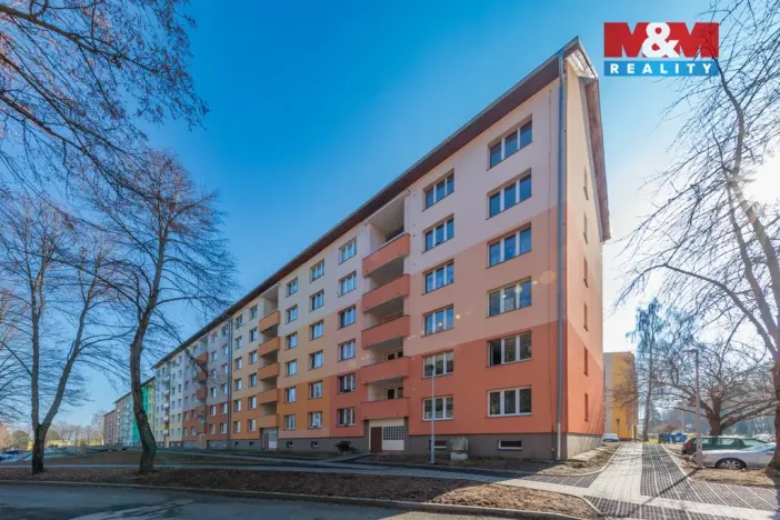 Prodej bytu 1+kk, Horní Slavkov, U Lesoparku, 19 m2