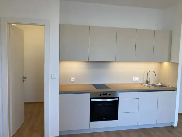 Pronájem bytu 1+kk, Praha - Žižkov, Na rovnosti, 32 m2