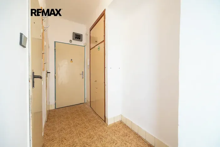 Prodej bytu 2+1, Praha - Žižkov, Pod lipami, 53 m2