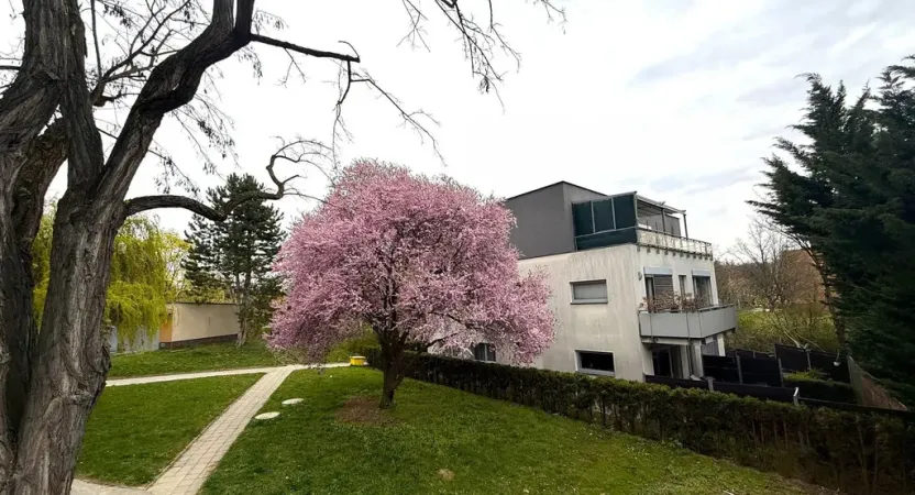 Pronájem bytu 3+1, Brno - Komín, Vrbenského, 64 m2