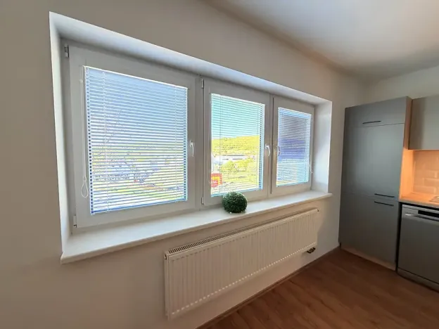 Pronájem bytu 2+kk, Brno, Černohorská, 48 m2