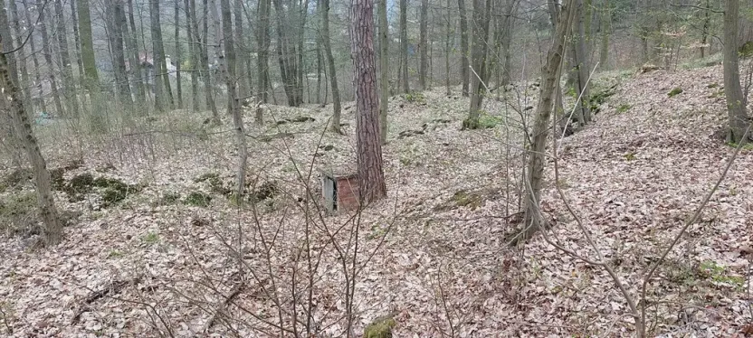 Prodej lesa, Petrov, 23078 m2