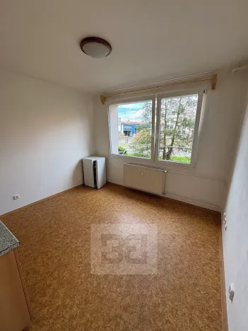 Pronájem bytu 1+kk, Písek, Za Pazdernou, 18 m2