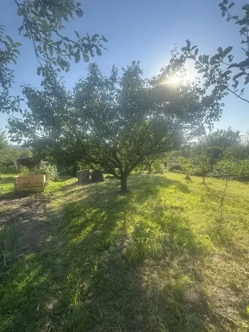 Prodej zahrady, Otrokovice, 209 m2