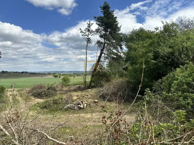 Prodej pozemku, Boršov nad Vltavou, Šumavská, 3633 m2