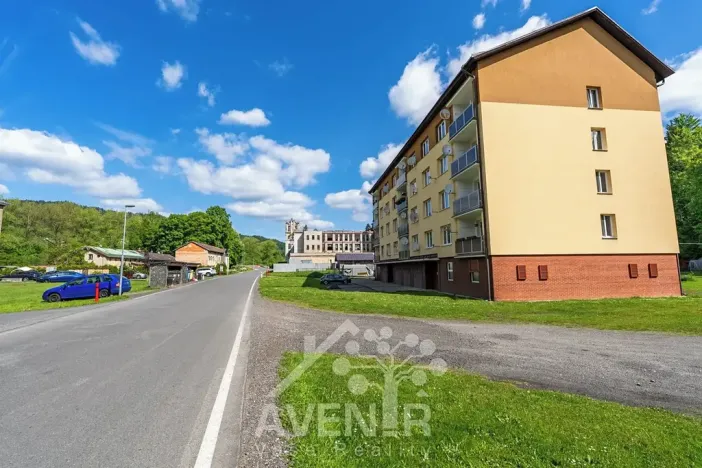 Prodej bytu 1+kk, Velké Hamry, 19 m2