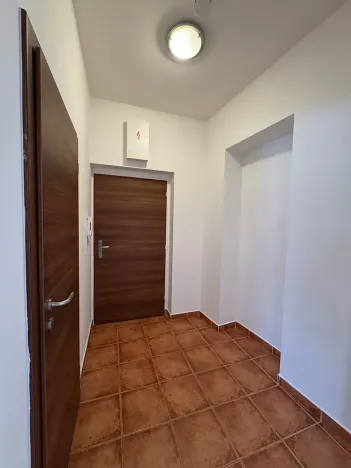 Pronájem bytu 1+kk, České Budějovice, Tylova, 39 m2