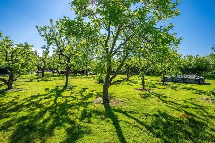 Prodej pozemku pro bydlení, Čtveřín, 1201 m2