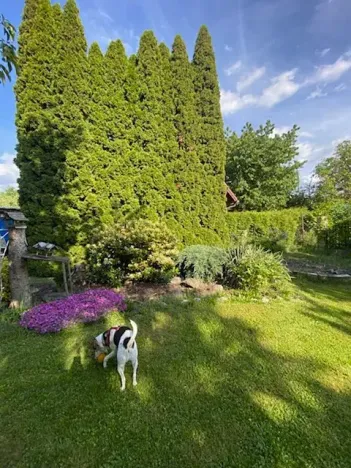Prodej zahrady, Železnice, 621 m2