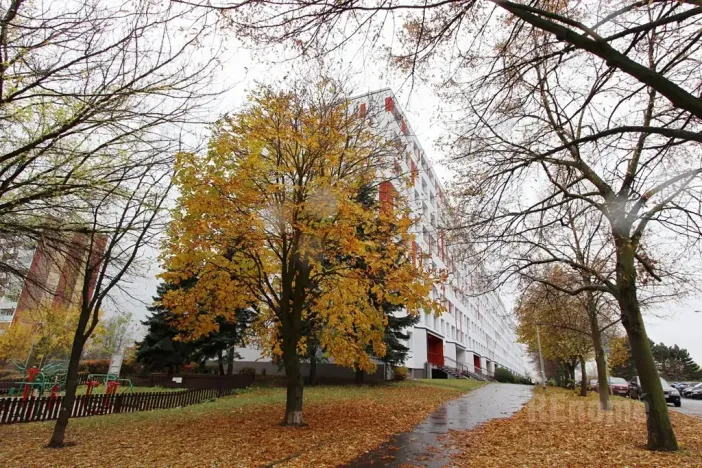 Pronájem bytu 3+1, Praha - Petrovice, Frostova, 78 m2