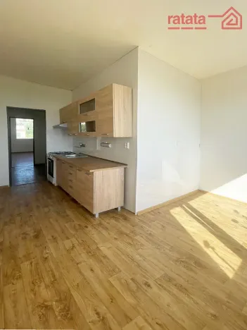 Pronájem bytu 2+1, Chomutov, Písečná, 59 m2