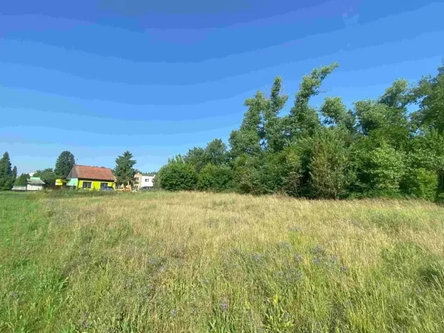 Dražba pozemku pro bydlení, Moravský Písek, 2722 m2