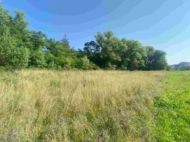 Dražba pozemku pro bydlení, Moravský Písek, 2722 m2