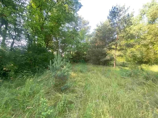Dražba pozemku pro bydlení, Moravský Písek, 2722 m2