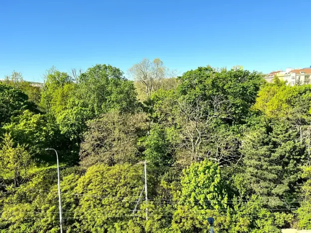 Prodej bytu 1+kk, Brno, Drobného, 38 m2