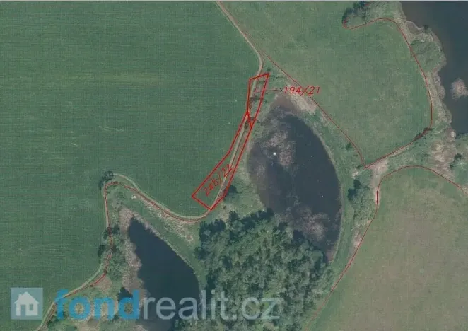 Prodej pozemku, Borovná, 1225 m2
