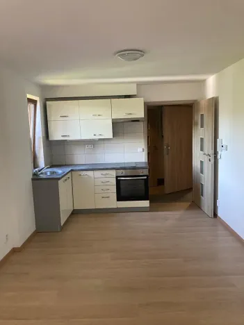 Pronájem bytu 1+1, Liberec, Šlikova, 38 m2