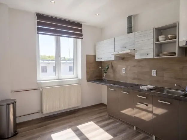 Pronájem bytu 1+1, Teplice, Duchcovská, 48 m2