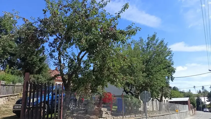 Prodej rodinného domu, Malý Beranov, 90 m2