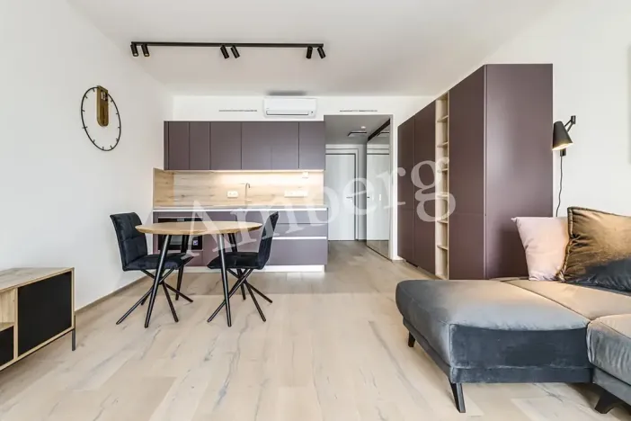 Pronájem bytu 1+kk, Praha - Karlín, Křižíkova, 34 m2