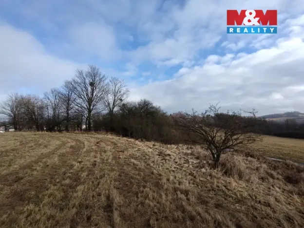 Prodej louky, Budišov nad Budišovkou, 6470 m2
