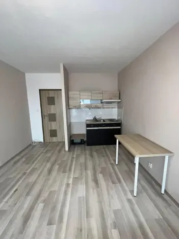 Prodej bytu 1+kk, Ostrava - Zábřeh, Petruškova, 28 m2