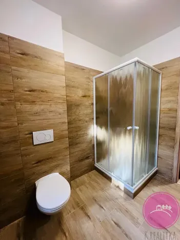 Pronájem bytu 1+kk, Olomouc, Uhelná, 40 m2