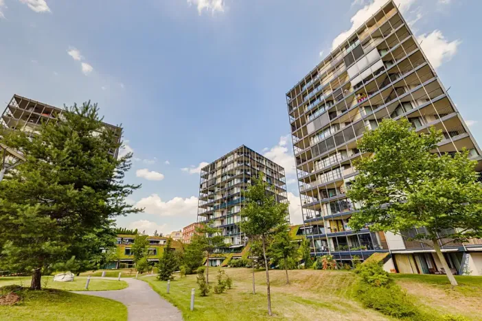 Prodej bytu 2+kk, Praha - Žižkov, Pitterova, 55 m2