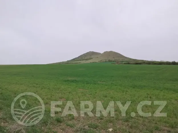 Prodej podílu pole, Lenešice, 410992 m2